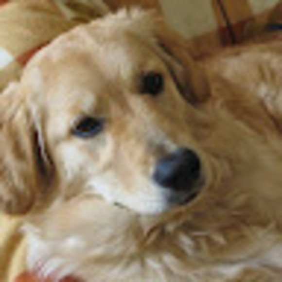 Meet your Posher, Gail - Picture 1 of 1